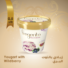 فرجينتو زبادي بالتوت 1-FRG-Yogurt With Wildberry 1Pc -500 ML